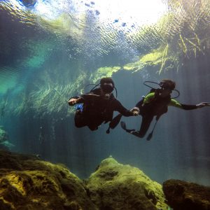 CASA CENOTE + TAKBI-HA, entre Tulum y Playa