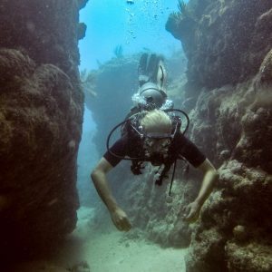 FUNDIVE IN BLUE BAY ( a 10 min de Playa del Carmen)