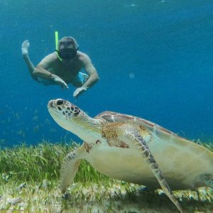SNORKEL EN COZUMEL, en el segundo arrecife más grande del planeta